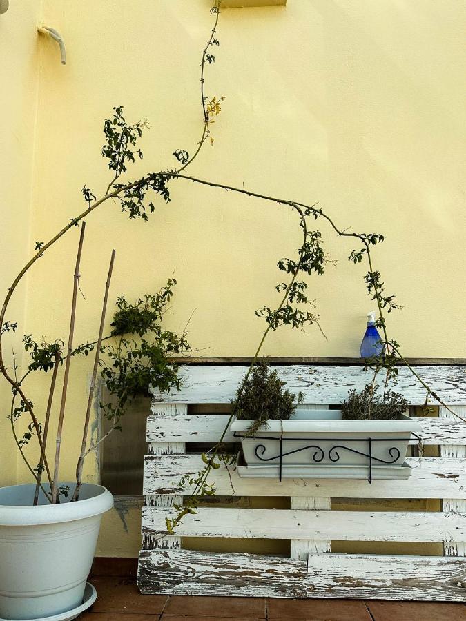 Beachnest Apartment Agios Nikolaos  Luaran gambar